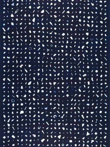1000 pieces of plastic New York, Coney Island (USA), Atlantic Ocean #1, 2018 Cyanotype, 112 x 73 cm