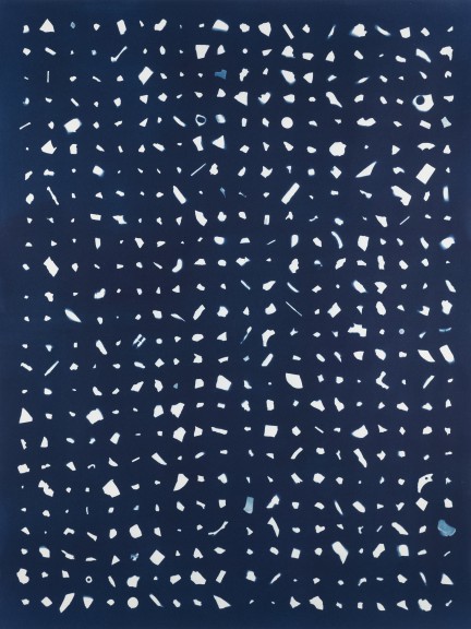 500 pieces of plastic, Witsand (SA), Indian Ocean #1, 2018 Cyanotype, 73 x 56 cm